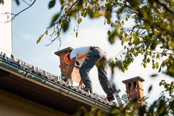 Best Roof Gutter Cleaning  in Valdese, NC